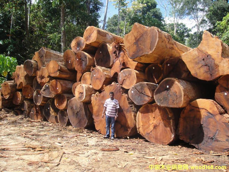 �R���͵���Ԕ��(x��)��B