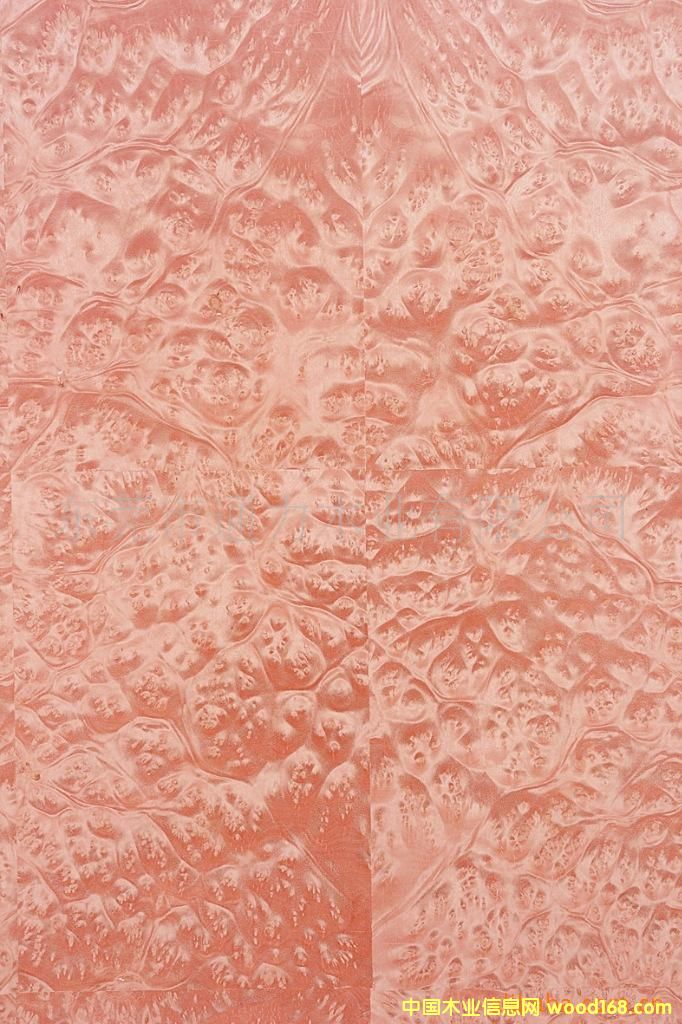 �����Ș����Ԕ����B