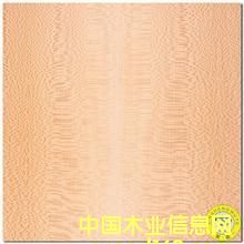 ��˹��Ԕ����B