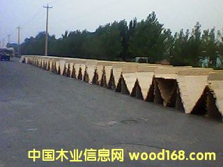 �N����Ԕ��(x��)��B