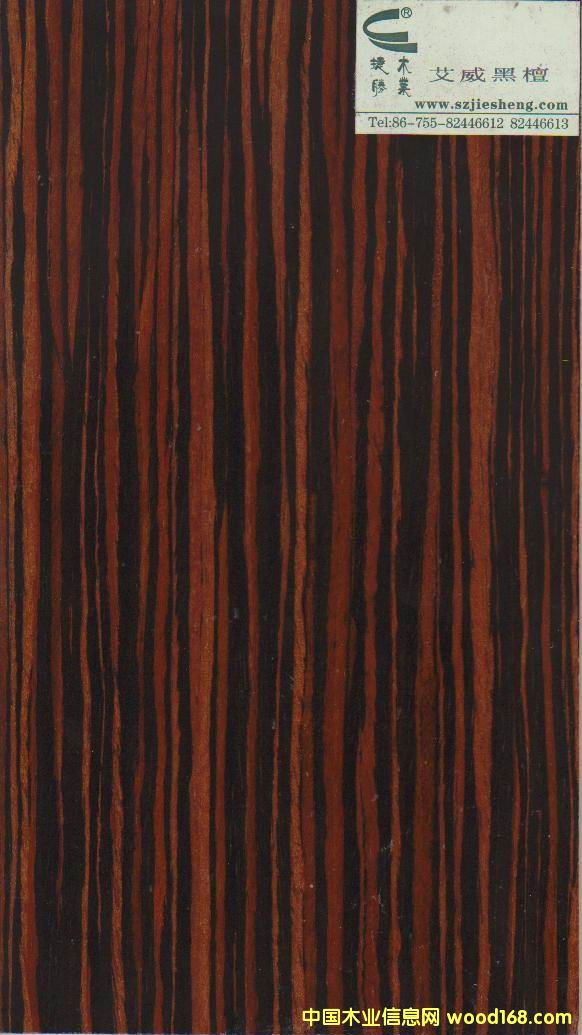 ������̴