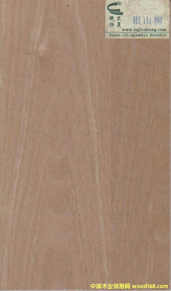 �yɽ����Ԕ��(x��)��B