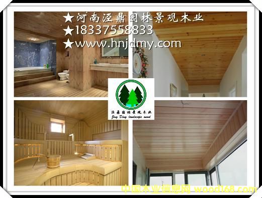 ɣ�ð��Ԕ��(x��)��B