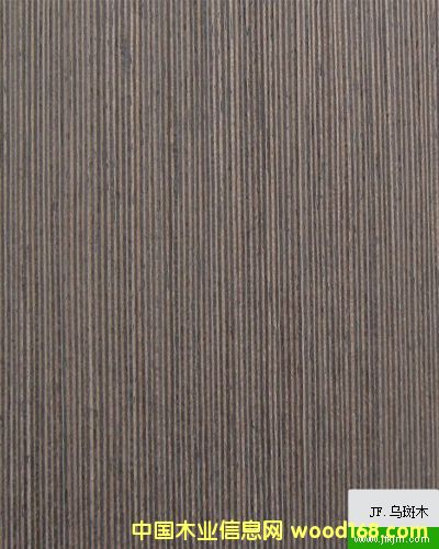 ����ľ��Ԕ��(x��)��B