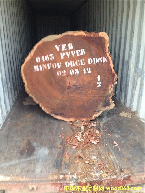 巴花的詳細(xì)介紹