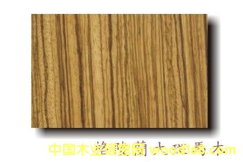 大斑馬的詳細(xì)介紹