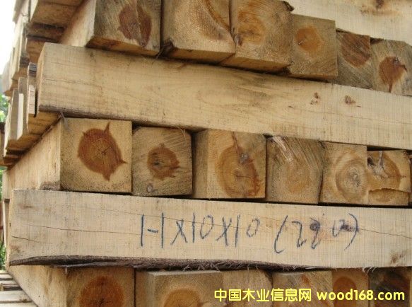 ���ľ���ݷ��ְ��Ʒ