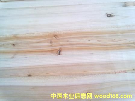 �߼������Ԕ��(x��)��B