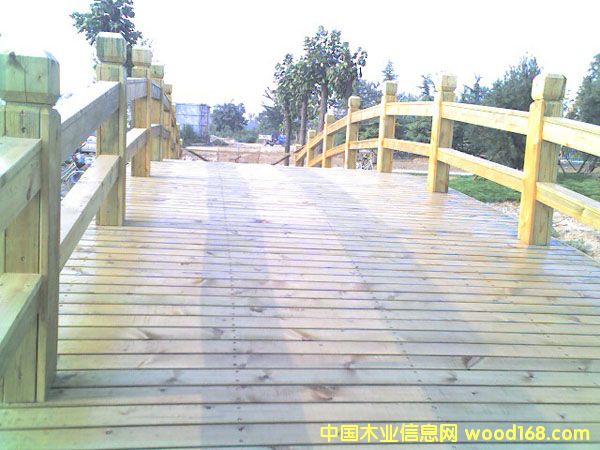 ����ľ��Ԕ����B