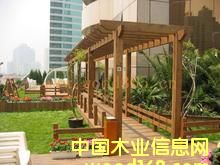 ����ľ��Ԕ����B