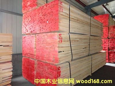 紅橡的詳細(xì)介紹