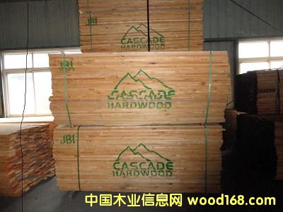 硬楓的詳細(xì)介紹