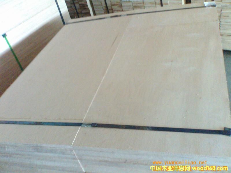 12��һ�γ���MR���b��