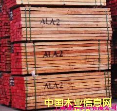 �����Ԕ����B