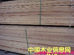 �tѩ�Ƀr���Ԕ����B