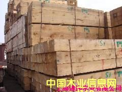 ݗ���ɵ�Ԕ����B