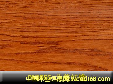 �t���Ԕ��(x��)��B