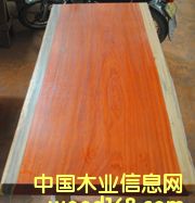 �t�������Ԕ����B