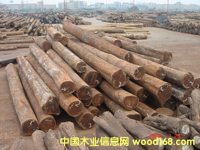 ������ľ��Ԕ����B