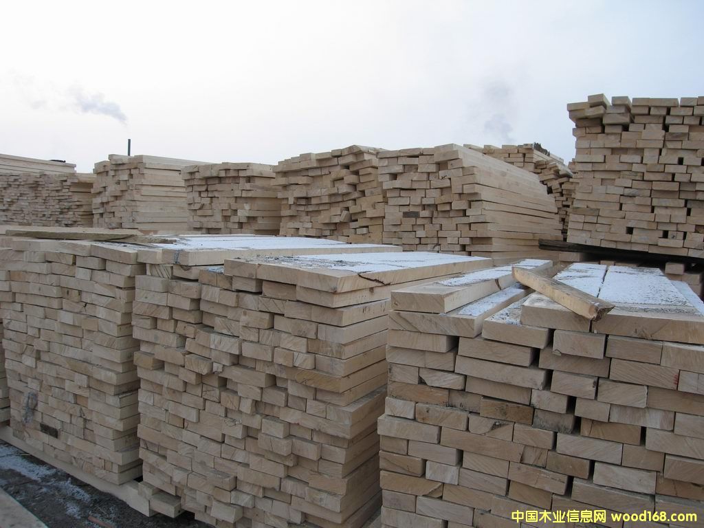 樺木的詳細(xì)介紹