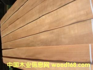 ��������ľ��Ԕ��(x��)��B