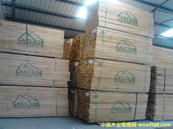 美國赤楊的詳細(xì)介紹