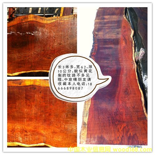 ΢���S̴���