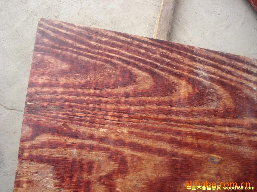 �c(di��n)���鿴��ľ���Ŵ�DƬ