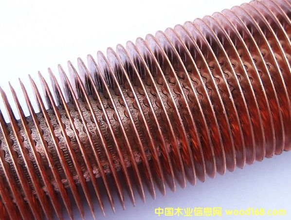 ���~�F����Ƭ��