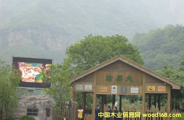 �Lɳ����ľľ�ݵ�Ԕ��(x��)��B