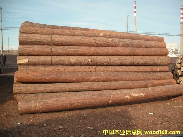 �t���ɵ�Ԕ��(x��)��B