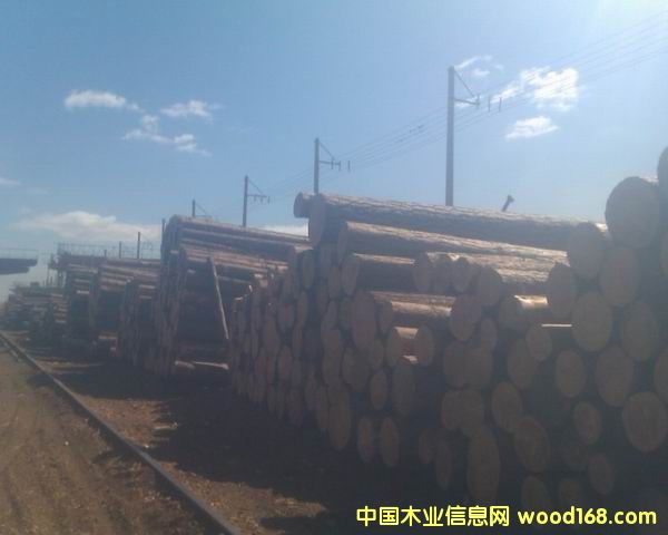 ���_˹�����ɵ�Ԕ��(x��)��B