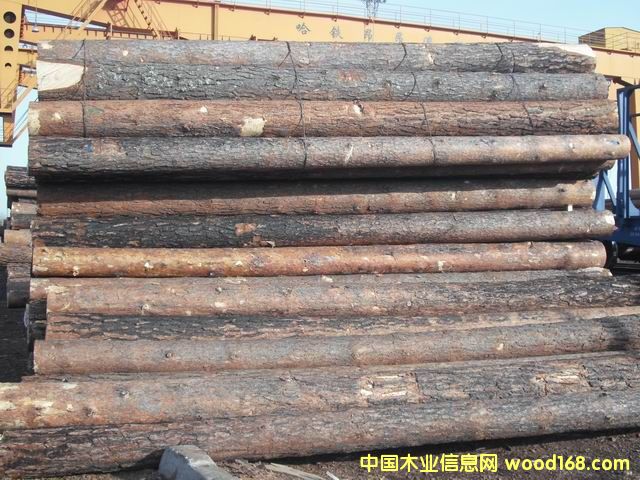 ��Ƥ���ɵ�Ԕ��(x��)��B