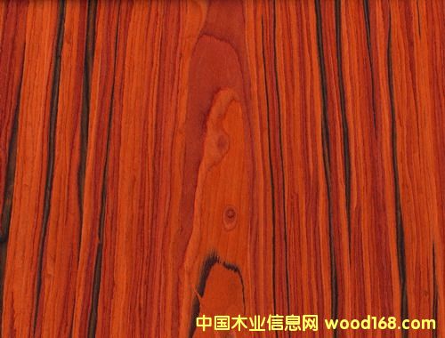 �t��֦��Ԕ��(x��)��B