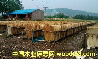 ���Іΰ��Ԕ����B