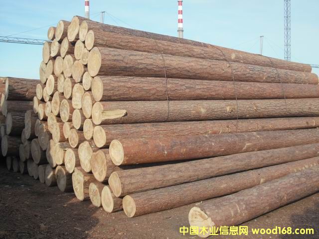 �t���ɵ�Ԕ��(x��)��B