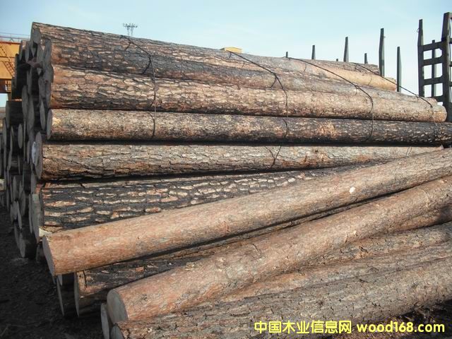 ����(y��ng)�����ɵ�Ԕ��(x��)��B