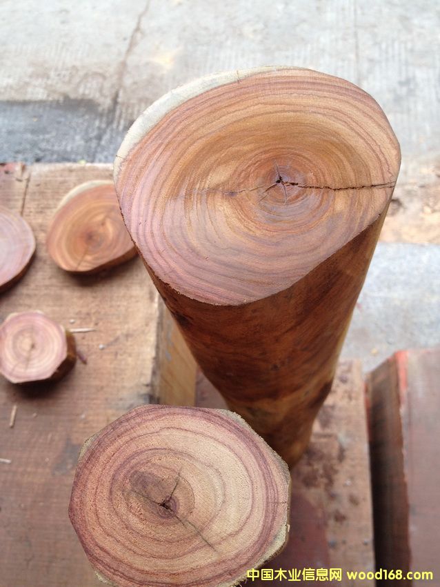 Խ�ϻ����Ԕ��(x��)��B