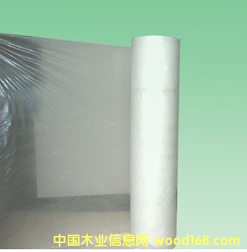 �c���鿴PVA��Ĥ�Ŵ�DƬ