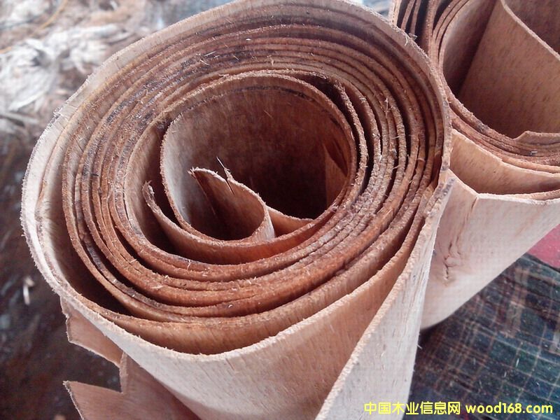 ��ľ�ΰ��Ԕ����B