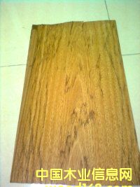 ���O�ϻ�ľ��Ԕ����B