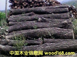 ��ľ��Ԕ��(x��)��B