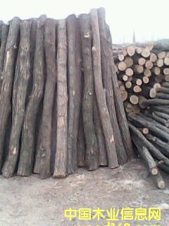 ��ľ1��Ԕ��(x��)��B