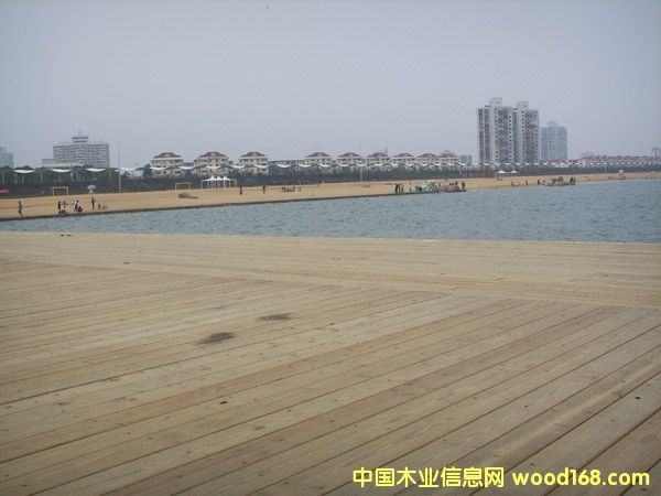 ������������ľ�Hˮƽ�_��Ԕ��(x��)��B