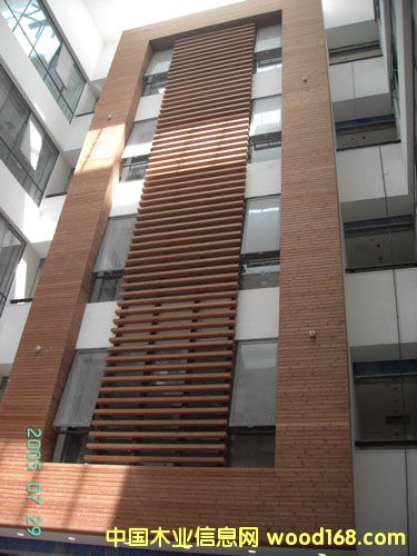 ������������ľľ�e����Ԕ��(x��)��B