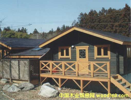 ������������ľľ��