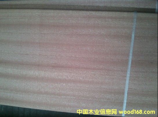 ɳ����ֱ�y