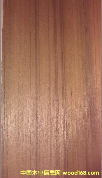 ̩��ֱ�y��Ԕ��(x��)��B