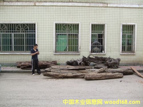 ꎳ���z�ľ��Ԕ��(x��)��B