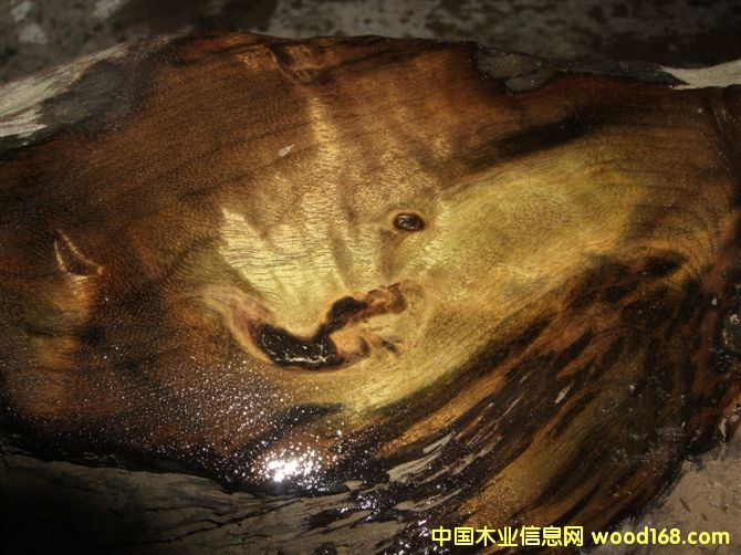 ꎳ���z�ľ��Ԕ��(x��)��B